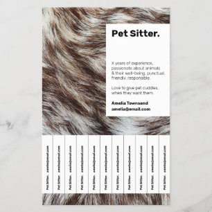 Professionell Husdjurssittar-Flyer Liten Företag Flygblad