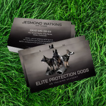 Professionell K9-utbildning