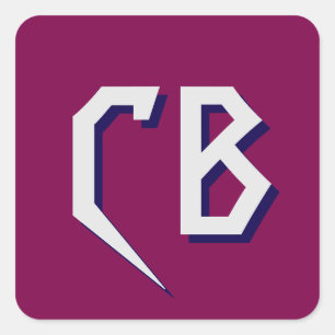 Professionell Modern Monogram Minimalist Initialer Fyrkantigt Klistermärke