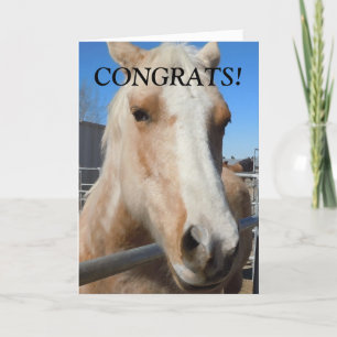 Professionell Student Grattiss Horse Kort
