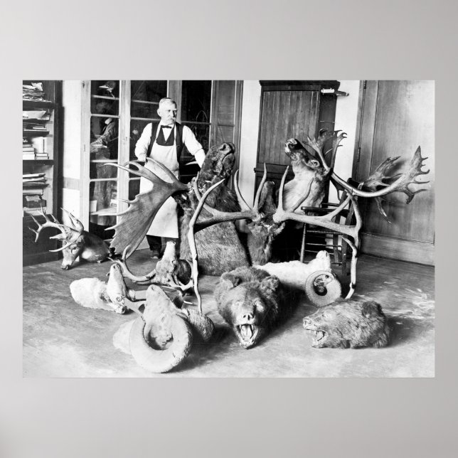 Professionell Taxidermist: 1923 Poster (Framsidan)