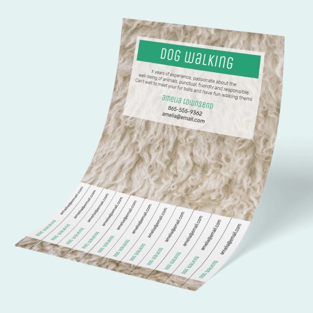 Professionella hundpromenadflyers Modern husdjursv Flygblad (Professional Dog Walking Promotional Flyer with tearbale tabs, with dor fur photo and green color.)