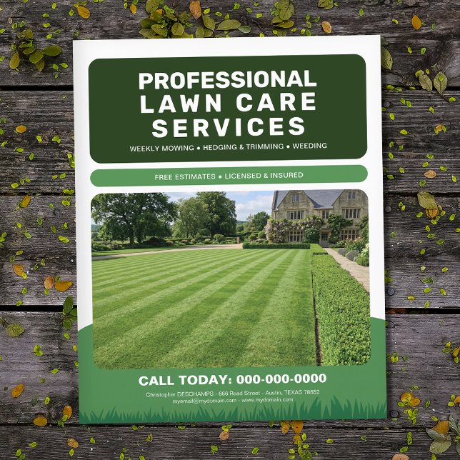 Professionella tjänster för grönytesvård flygblad (Professional Lawn Care Services Flyer)
