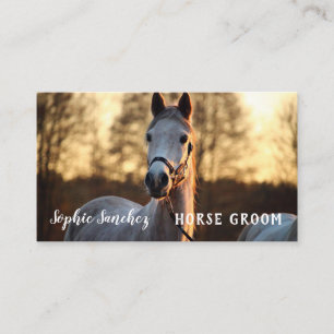 Professionellen Horse Groom Photo Visitkort
