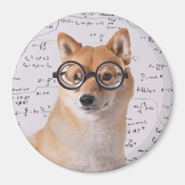 Professor Barkley 24,5 cm Round Magnet (Framsidan)