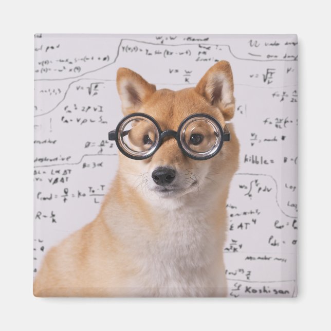Professor Barkley 2 Inch Square Magnet (Framsidan)