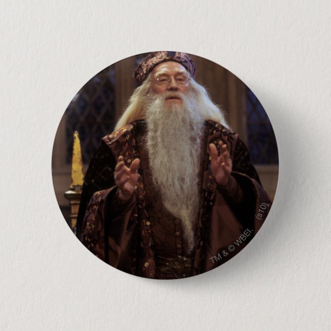 Professor Dumbledore Knapp (Framsida)