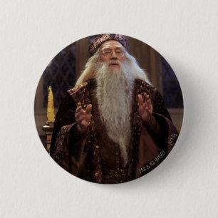 Professor Dumbledore Knapp