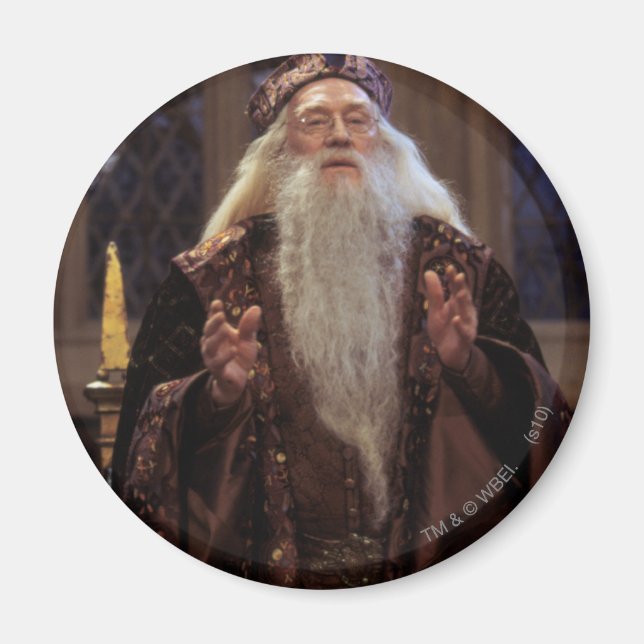 Professor Dumbledore Magnet (Framsidan)