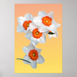 Professor Einsteins Flower Poster