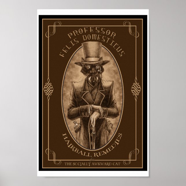 Professor Felis DOmesticus Poster (Framsidan)