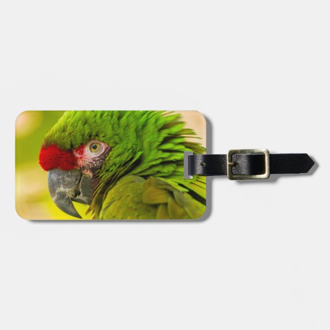 Profil av ara på Santa Barbara Zoo Bagagebricka (Horisontell Framsida)