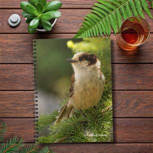 Profil för Cute Grått Jay / Whiskeyjack Anteckningsbok