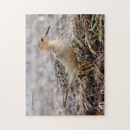 Profil för en Buff-Brested Sandpiper vid stranden Pussel
