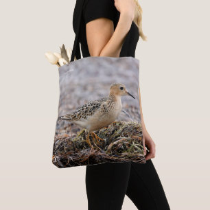 Profil för en Buff-Brested Sandpiper vid stranden Tygkasse