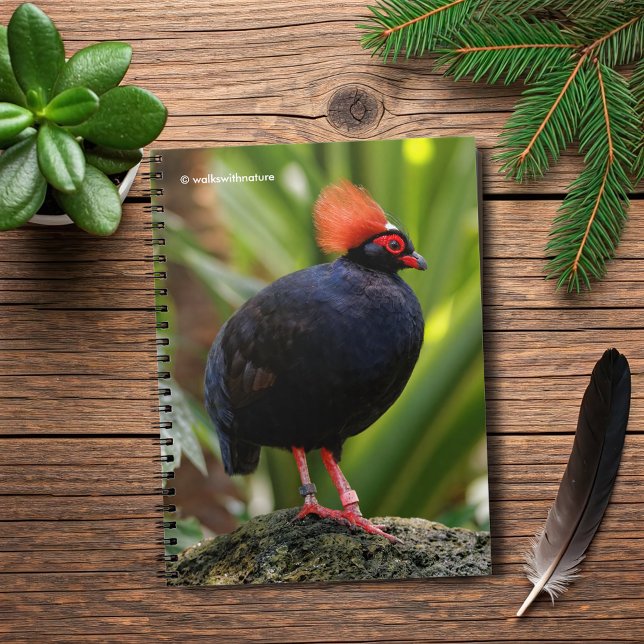Profil för en grovtäckt bläckpatron med Roul Crest Anteckningsbok (Profile of a Roul-Roul Wood Crested Partridge Journal Cover Photo)