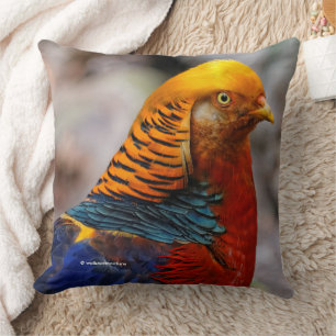Profil för en röd Golden Pheasant Kudde