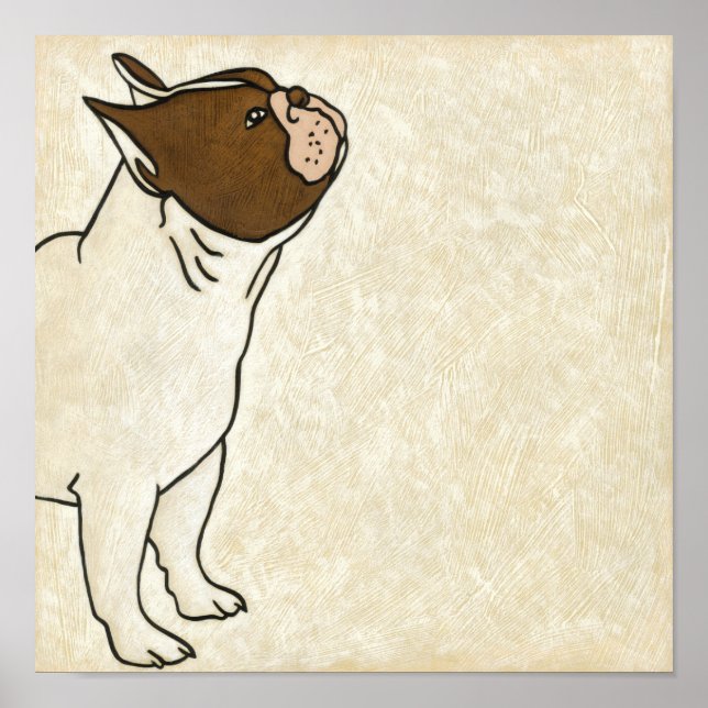 Profil för Fransk Bulldog-Tittar upp Poster (Framsidan)