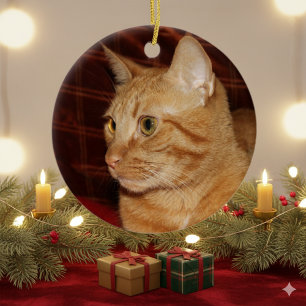 Profil för orange Tabby katt Ansikte Julgransprydnad Keramik