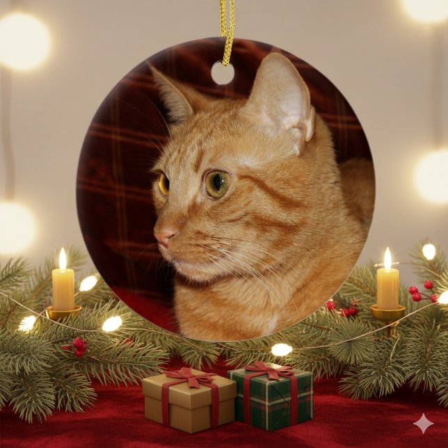 Profil för orange Tabby katt Ansikte Julgransprydnad Keramik (Skapare uppladdad)