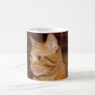 Profil för orange Tabby katt Ansikte Kaffemugg