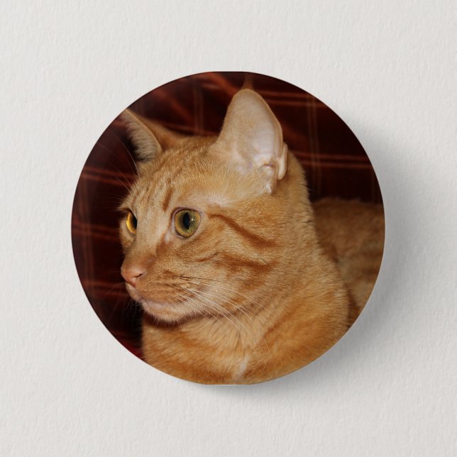 Profil för orange Tabby katt Ansikte Knapp (Framsida)