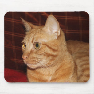 Profil för orange Tabby katt Ansikte Musmatta