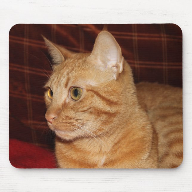 Profil för orange Tabby katt Ansikte Musmatta (Framsidan)