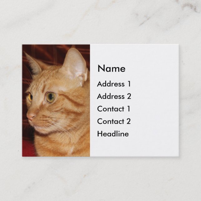 Profil för orange Tabby katt Ansikte Visitkort (Framsida)