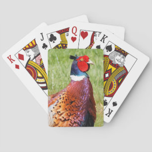 Profil över en fasan i Ring-Necked Casinokort