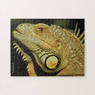 Profil över en Grönt Iguana Pussel