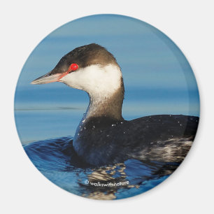 Profil över en hornsklubb magnet