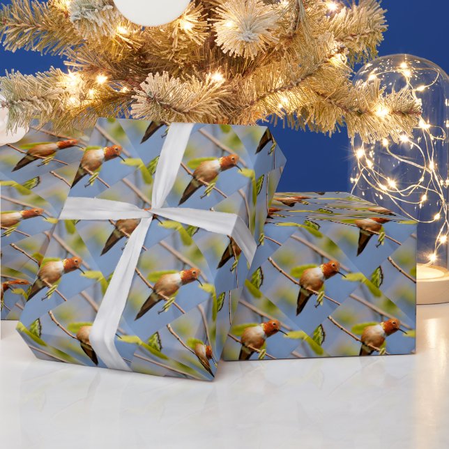 Profil över en Rufous Hummingbird Presentpapper (Helgdagar)