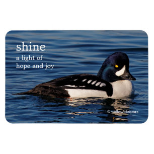 Profil på en Barrows Goldeneye Magnet