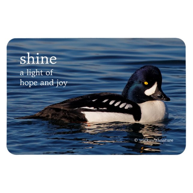 Profil på en Barrows Goldeneye Magnet (Horisontell)