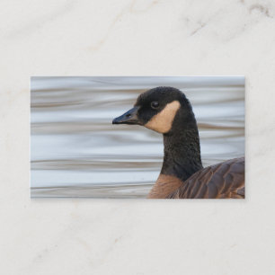 Profil på en Cackling Goose Visitkort