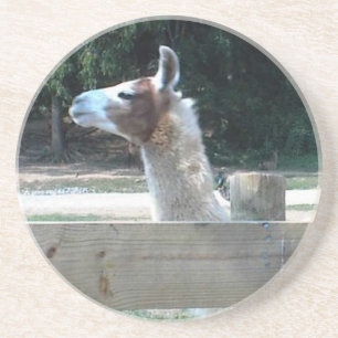 Profilera av Llama Underlägg