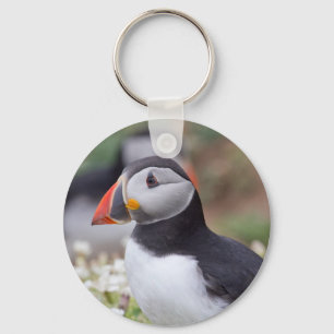 Profilera av Puffin på den Skomer ön Nyckelring