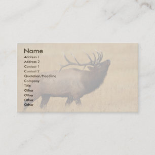 profilera eller visitkorten, älg visitkort