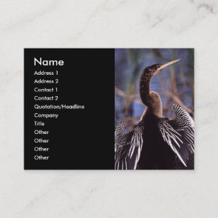 profilera eller visitkorten, anhinga visitkort