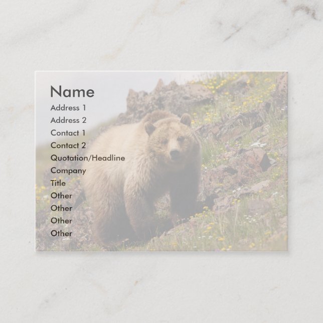 profilera eller visitkorten, grizzlybjörn visitkort (Framsida)
