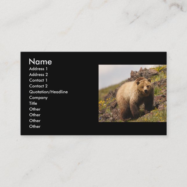 profilera eller visitkorten, grizzlybjörn visitkort (Framsida)