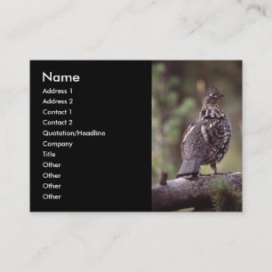 profilera eller visitkorten, grouse visitkort