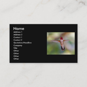 profilera eller visitkorten, hummingbird visitkort