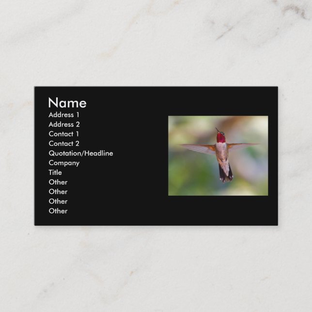 profilera eller visitkorten, hummingbird visitkort (Framsida)
