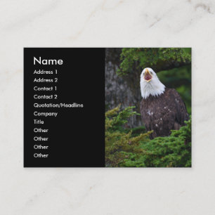 profilera eller visitkorten, örn visitkort