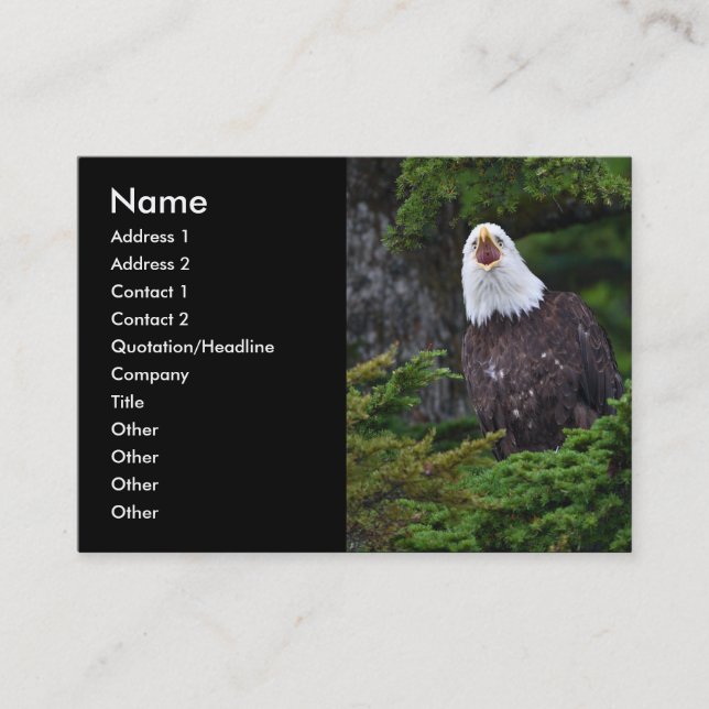 profilera eller visitkorten, örn visitkort (Framsida)