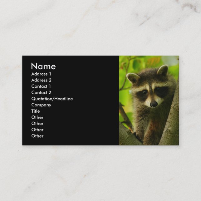 profilera eller visitkorten, raccoon visitkort (Framsida)