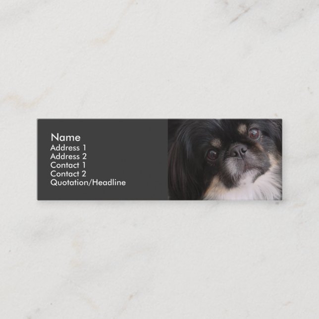 Profilera kortmallen - den Pekingnese hunden Mini Visitkort (Framsida)