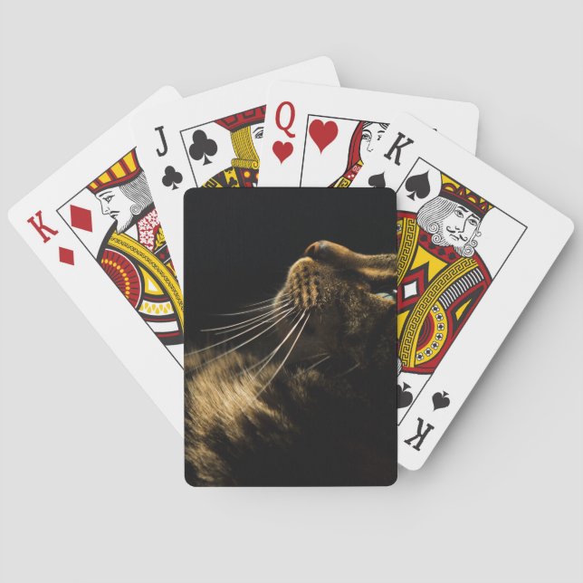 profilkatt casinokort (Baksidan)